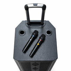 MEPL 15" Karaoke Speaker