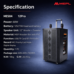 MEPL 12" karaoke speaker
