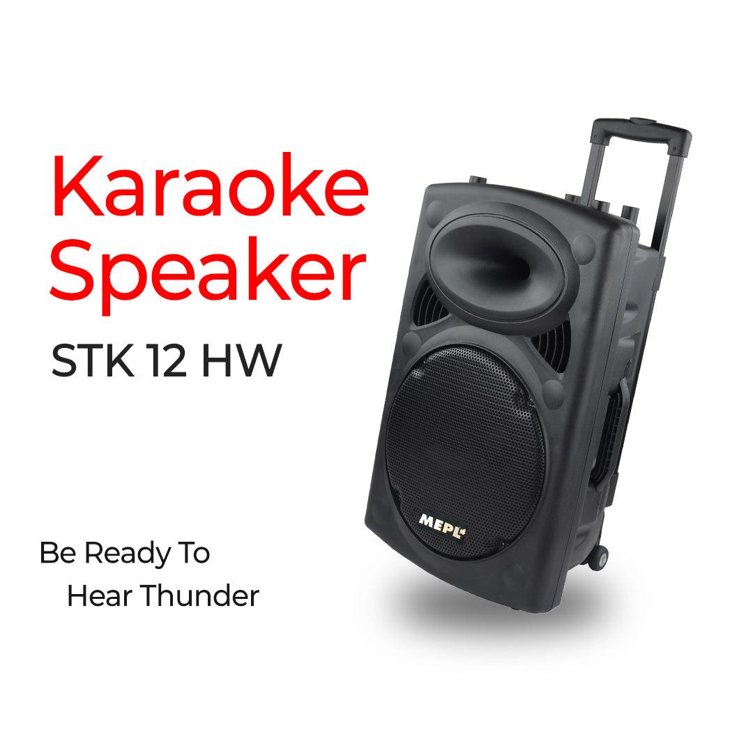 MEPL Portable Karaoke Speaker STK 12 HW - mepl.store